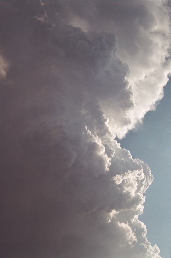 cumulonimbus supercell_thunderstorm : Camden, NSW   12 February 2003