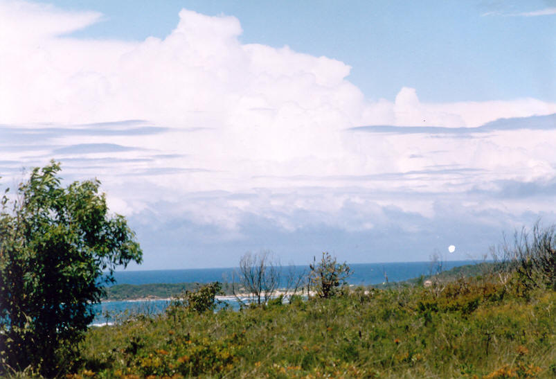 contributions received : Evans Head, NSW<BR>Photo by John Bath   23 February 2003