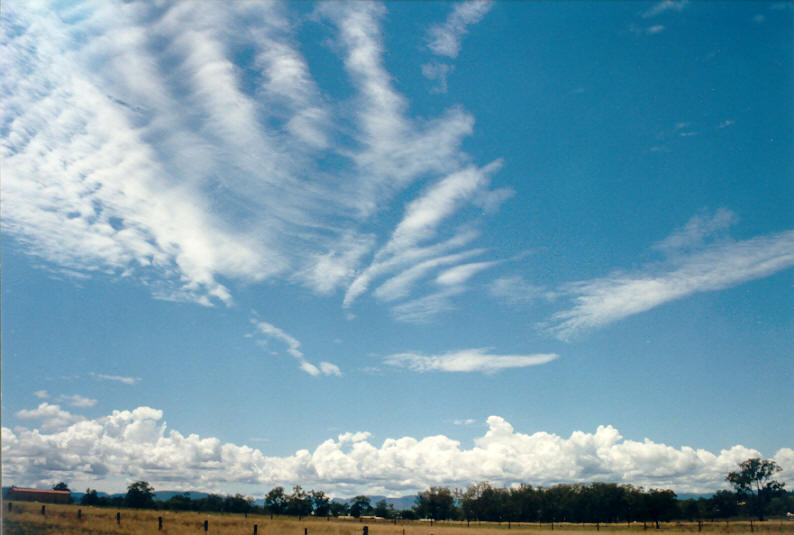 altocumulus undulatus : SE QLD   23 February 2003