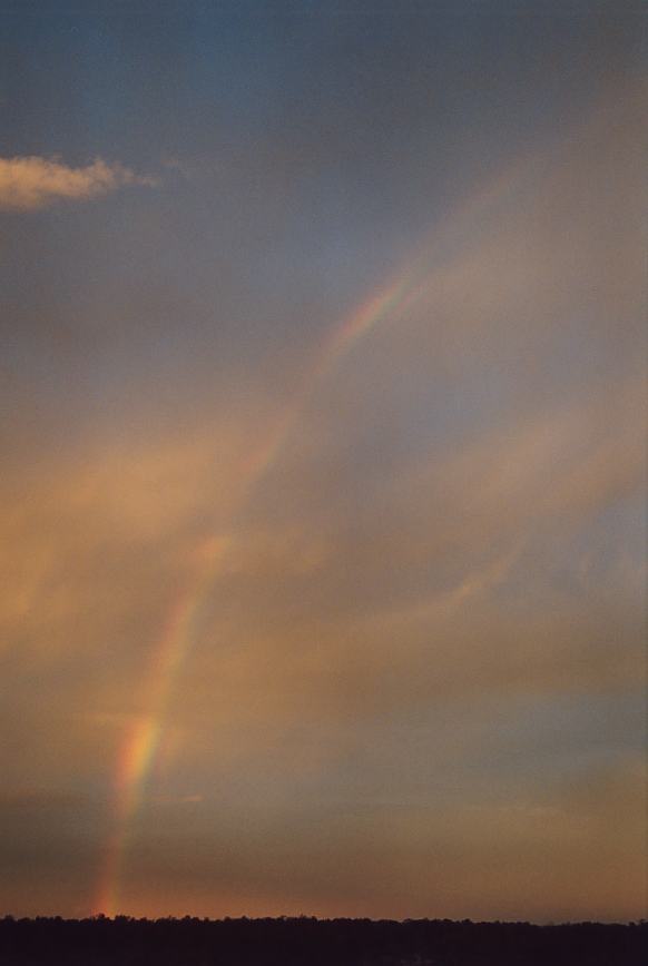 rainbow rainbow_pictures : Schofields, NSW   28 February 2003