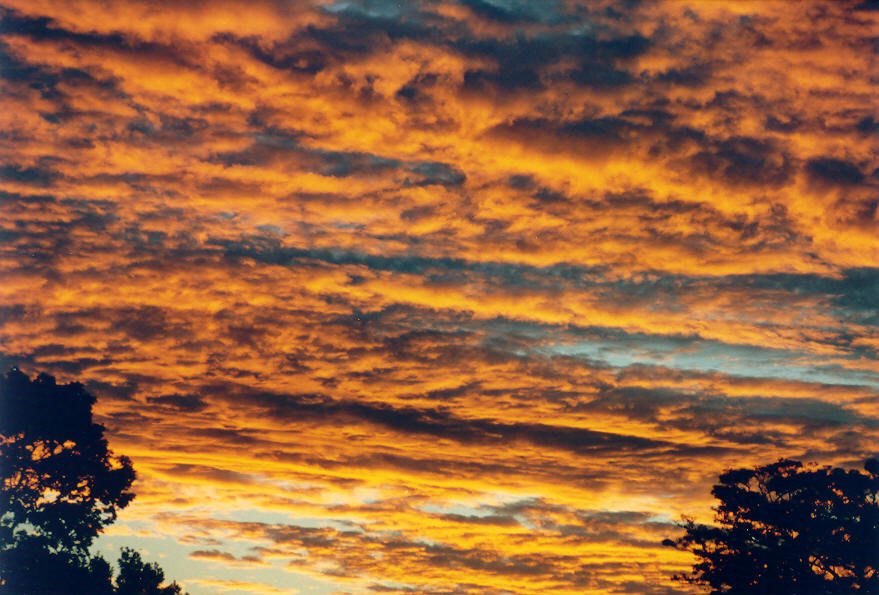 sunset sunset_pictures : McLeans Ridges, NSW   1 March 2003