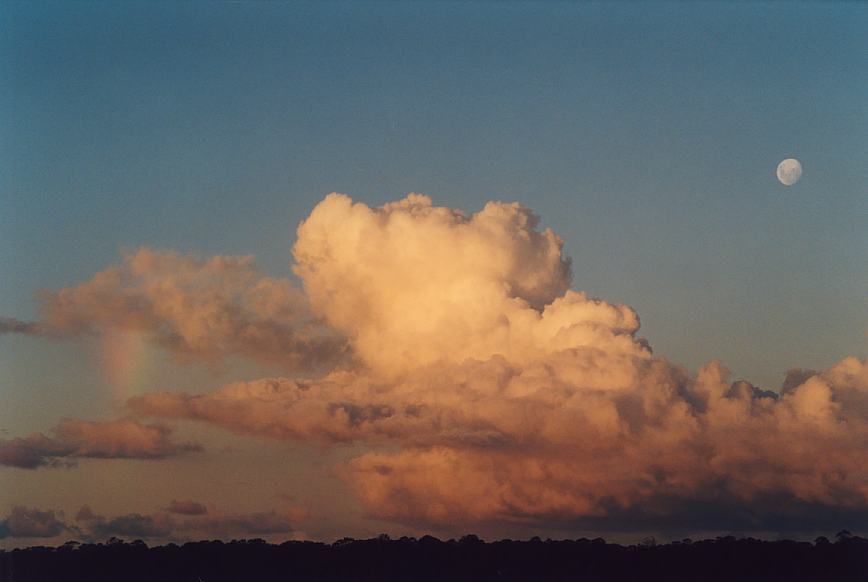 cumulus congestus : Schofields, NSW   16 March 2003