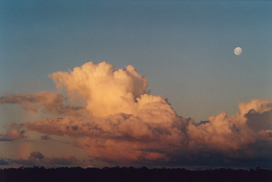 rainbow rainbow_pictures : Schofields, NSW   16 March 2003