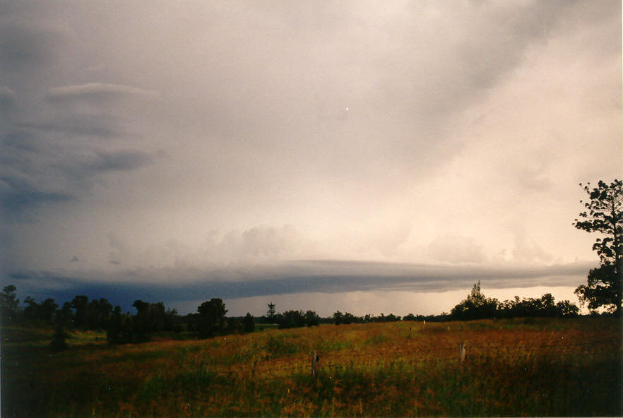 shelfcloud shelf_cloud : Casino, NSW   16 March 2003