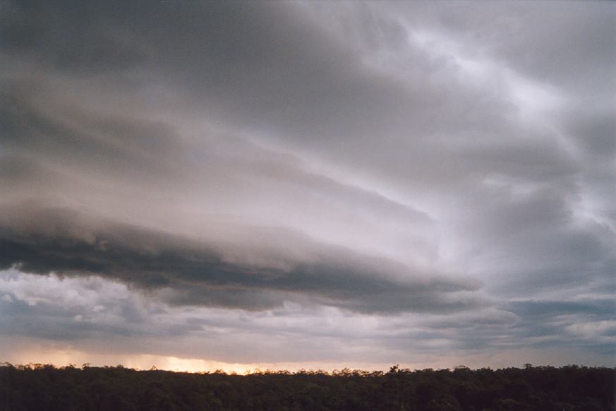 cumulonimbus supercell_thunderstorm : N of Karuah, NSW   20 March 2003