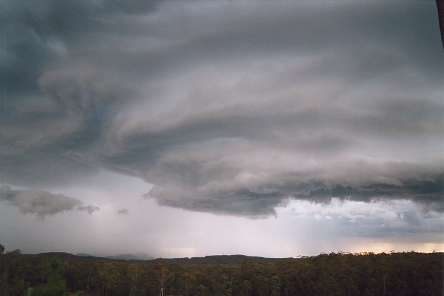 cumulonimbus supercell_thunderstorm : N of Karuah, NSW   20 March 2003