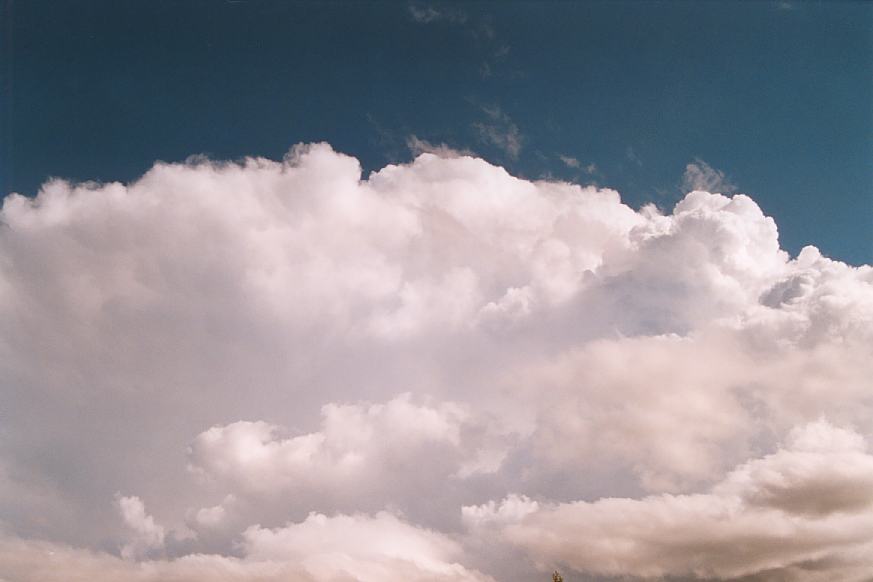 thunderstorm cumulonimbus_incus : Ulong, NSW   21 March 2003