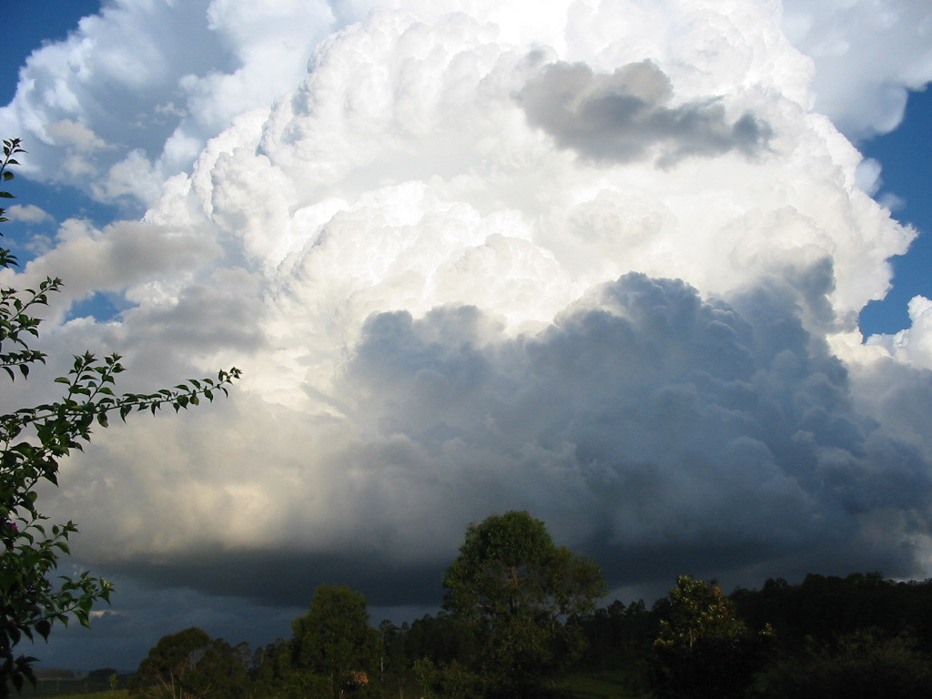 contributions received : Tabulam, NSW<BR>Photo by Leon Skybinsky   22 March 2003