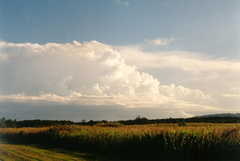 thunderstorm cumulonimbus_incus : Ballina, NSW   22 March 2003