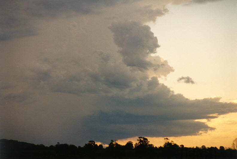 inflowband thunderstorm_inflow_band : Coraki, NSW   22 March 2003