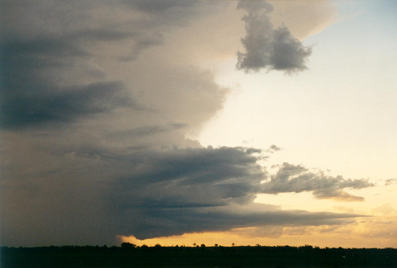 wallcloud thunderstorm_wall_cloud : Coraki, NSW   22 March 2003