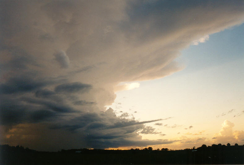 thunderstorm cumulonimbus_incus : Coraki, NSW   22 March 2003