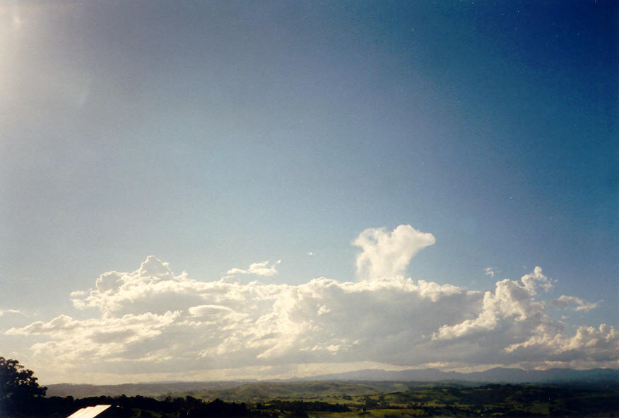 cumulus congestus : McLeans Ridges, NSW   22 March 2003