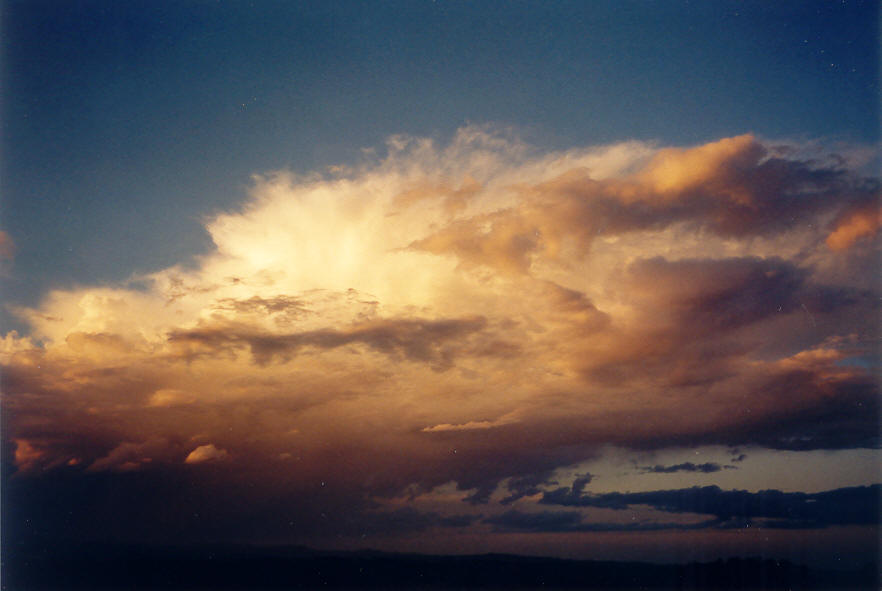 anvil thunderstorm_anvils : McLeans Ridges, NSW   22 March 2003