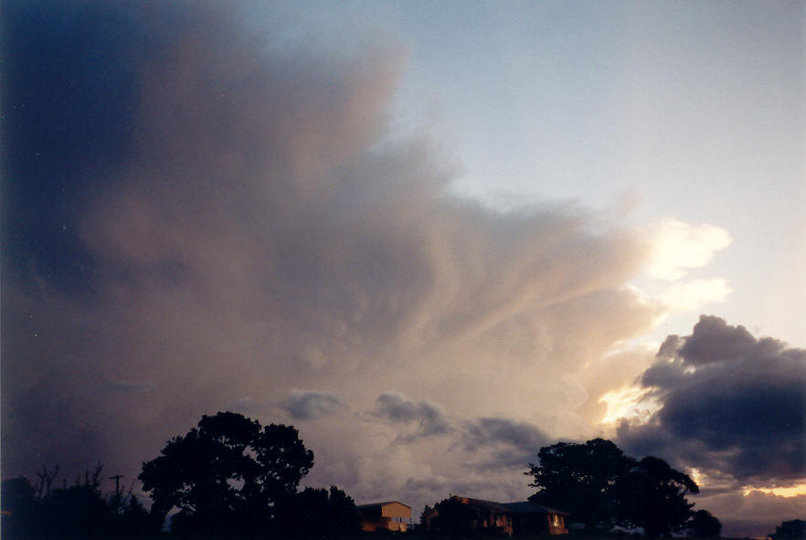 anvil thunderstorm_anvils : McLeans Ridges, NSW   22 March 2003