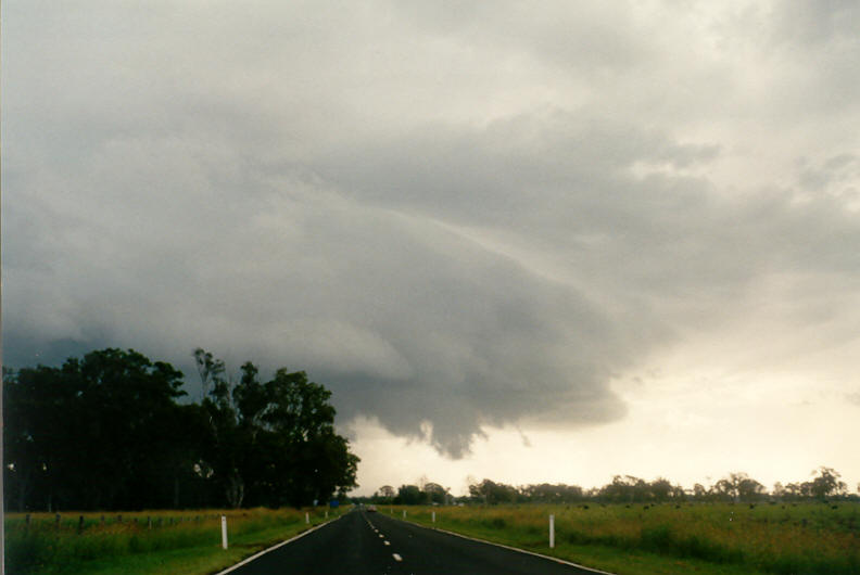 shelfcloud shelf_cloud : E of Casino, NSW   23 March 2003