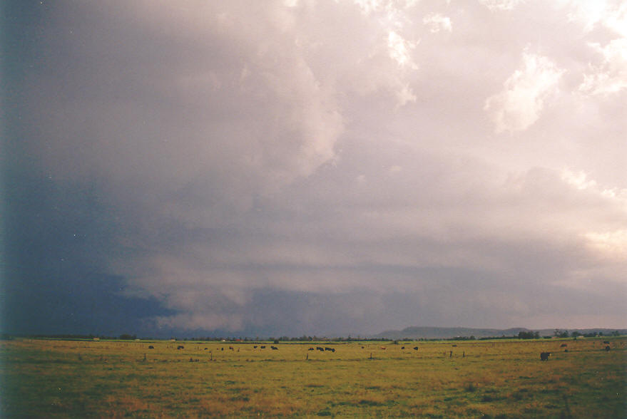 cumulonimbus supercell_thunderstorm : Woodburn, NSW   30 March 2003