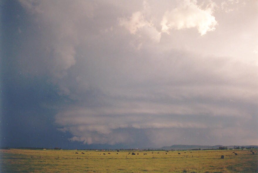 cumulonimbus thunderstorm_base : Woodburn, NSW   30 March 2003