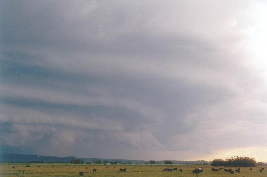 cumulonimbus thunderstorm_base : Woodburn, NSW   30 March 2003