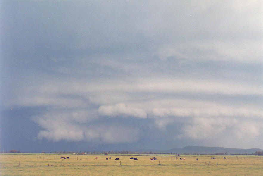 cumulonimbus supercell_thunderstorm : Woodburn, NSW   30 March 2003