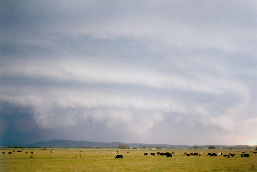 shelfcloud shelf_cloud : Woodburn, NSW   30 March 2003