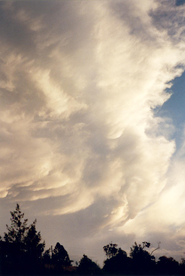 cumulonimbus supercell_thunderstorm : McLeans Ridges, NSW   30 March 2003