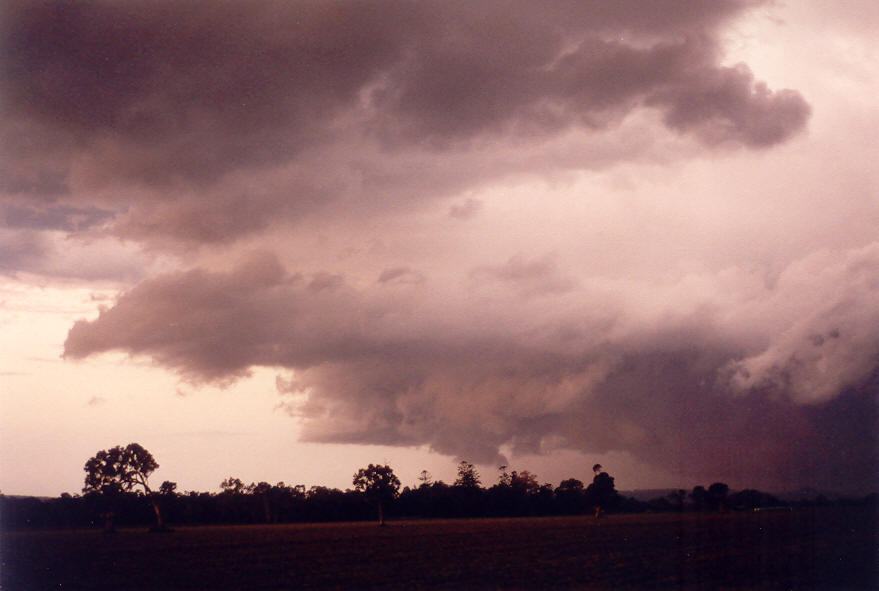 cumulonimbus thunderstorm_base : E of Casino, NSW   30 March 2003