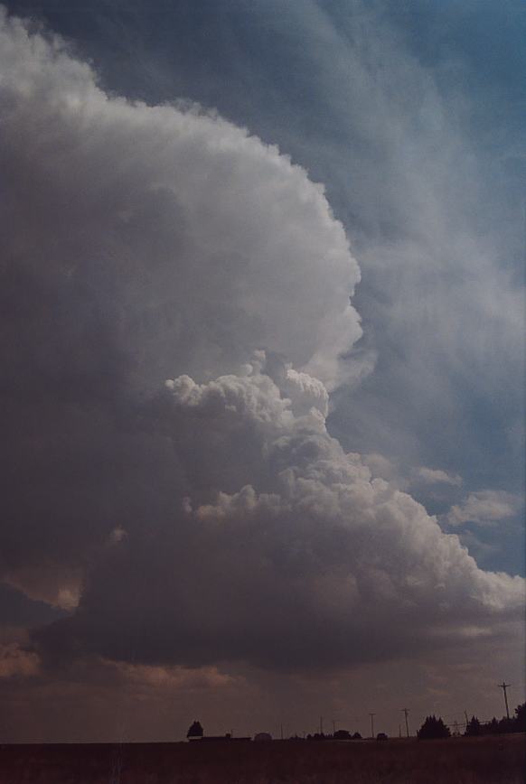 thunderstorm cumulonimbus_incus : Earth, Texas, USA   3 June 2003