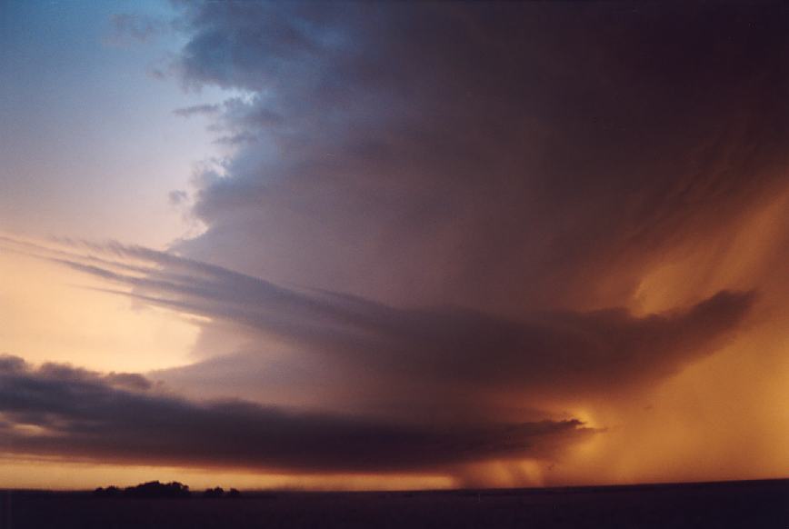 favourites jimmy_deguara : near Levelland, Texas, USA   3 June 2003