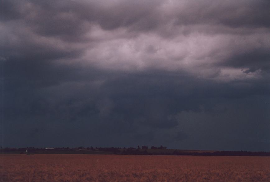 cumulonimbus thunderstorm_base : Hinton, Oklahoma, USA   10 June 2003