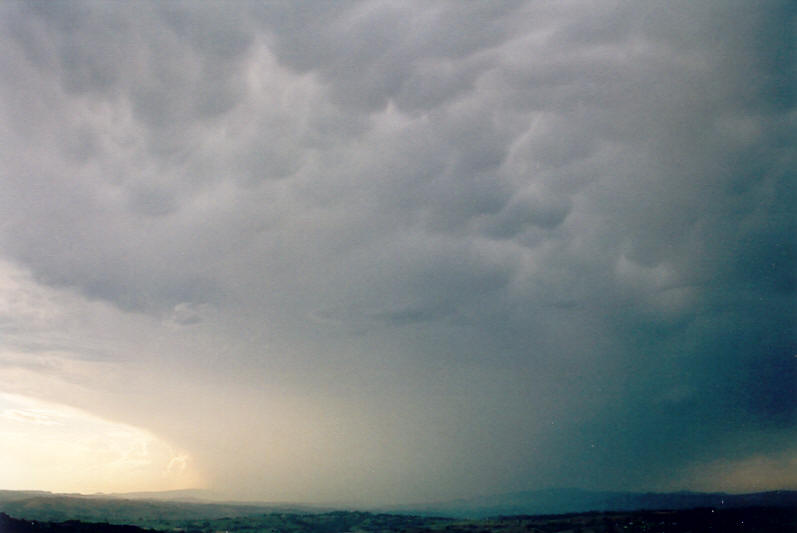 mammatus mammatus_cloud : McLeans Ridges, NSW   26 September 2003