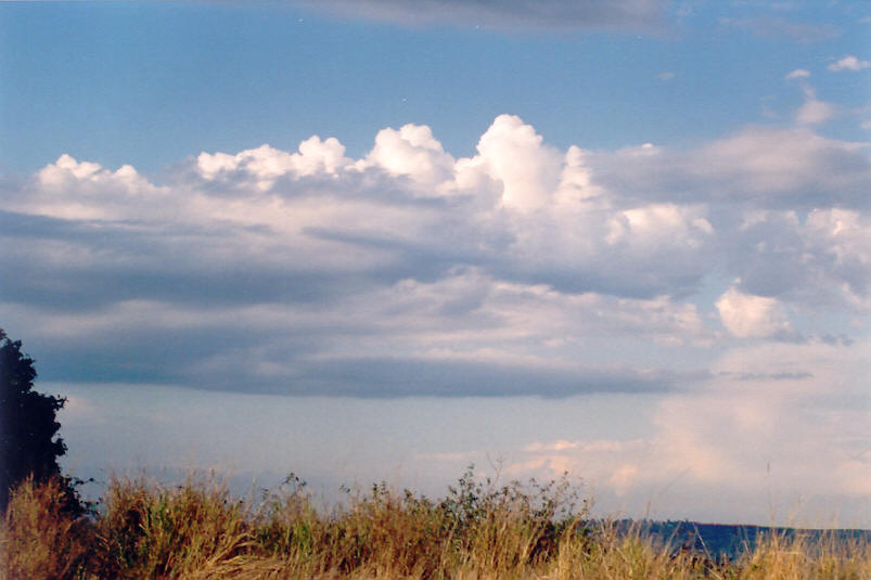 altocumulus castellanus : Parrots Nest, NSW   26 September 2003