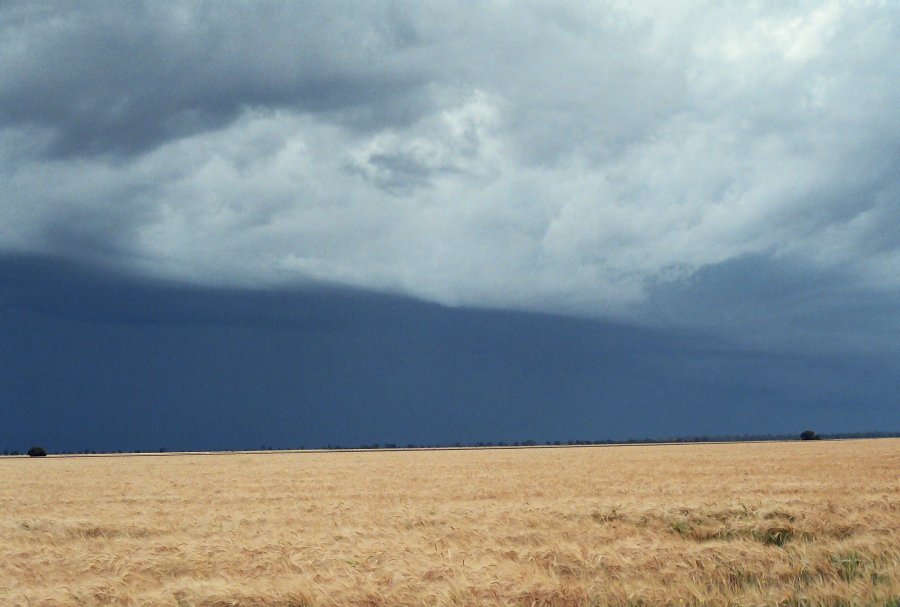 contributions received : Moree, NSW<BR>Photo by Brett Vilnis   2 October 2003