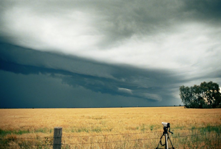 contributions received : Moree, NSW<BR>Photo by Brett Vilnis   2 October 2003