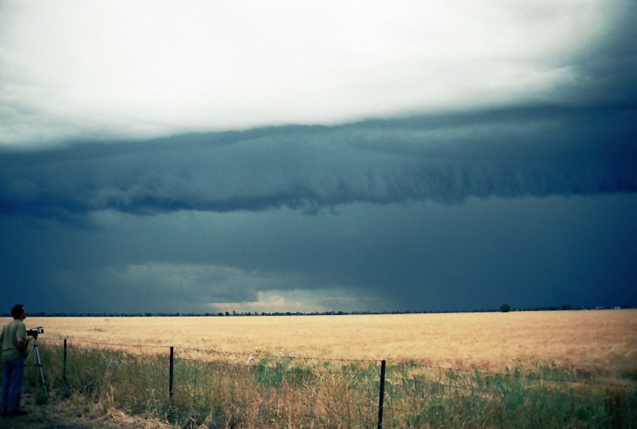 contributions received : Moree, NSW<BR>Photo by Brett Vilnis   2 October 2003