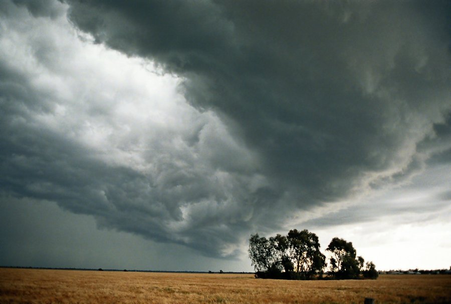 contributions received : Moree, NSW<BR>Photo by Brett Vilnis   2 October 2003