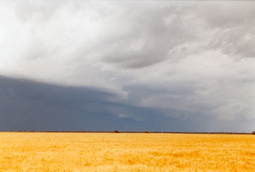 shelfcloud shelf_cloud : Moree, NSW   2 October 2003