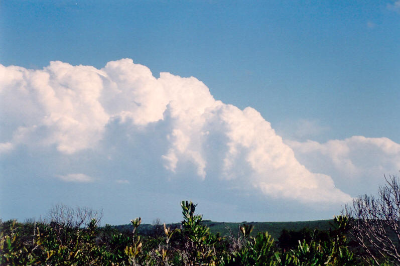 updraft thunderstorm_updrafts : Evans Head, NSW   10 October 2003