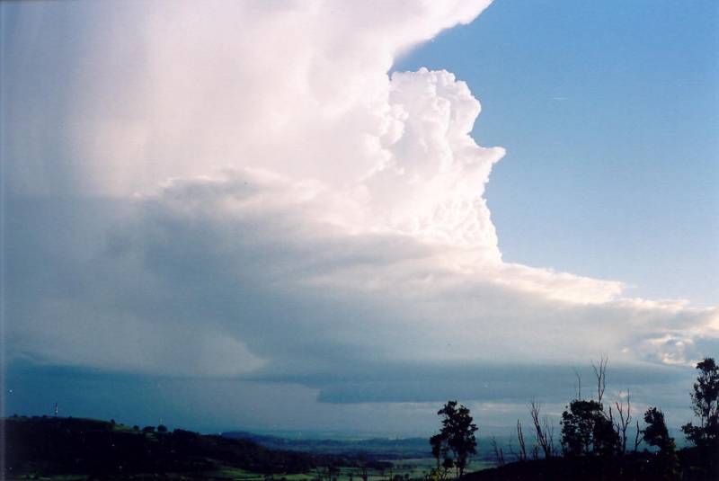 wallcloud thunderstorm_wall_cloud : Meerschaum, NSW   20 October 2003