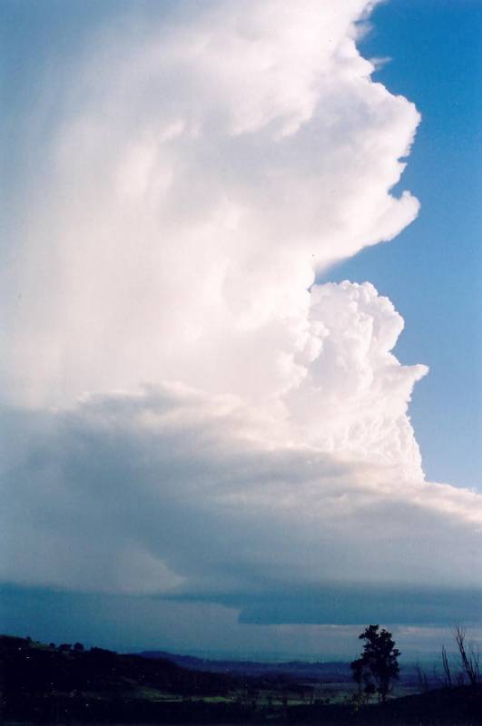 cumulonimbus supercell_thunderstorm : Meerschaum, NSW   20 October 2003