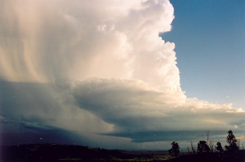 thunderstorm cumulonimbus_incus : Meerschaum, NSW   20 October 2003