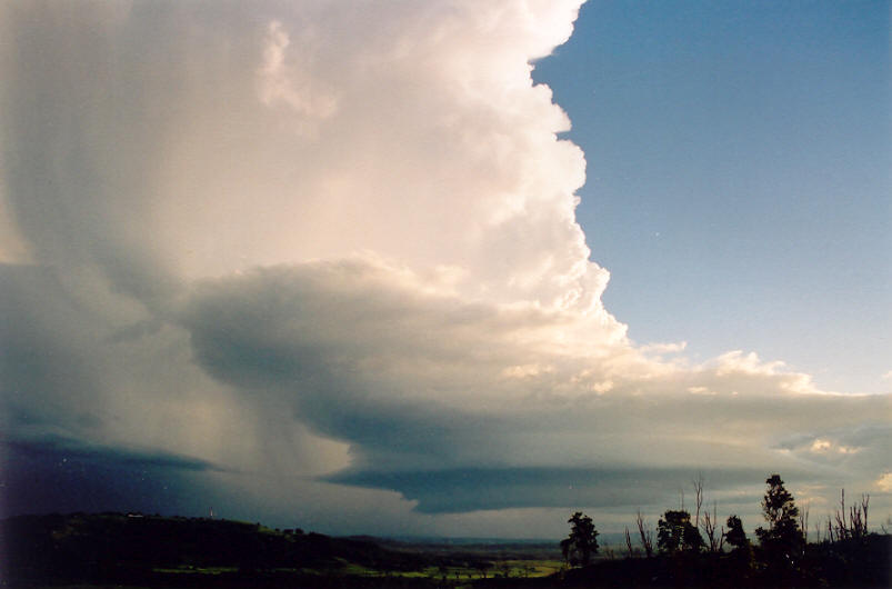 inflowband thunderstorm_inflow_band : Meerschaum, NSW   20 October 2003