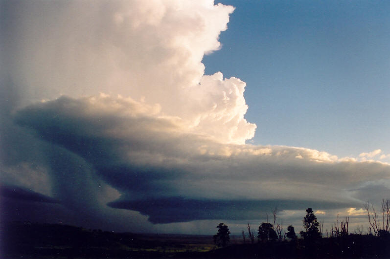 updraft thunderstorm_updrafts : Meerschaum, NSW   20 October 2003