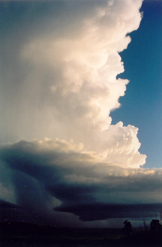 cumulonimbus supercell_thunderstorm : Meerschaum, NSW   20 October 2003