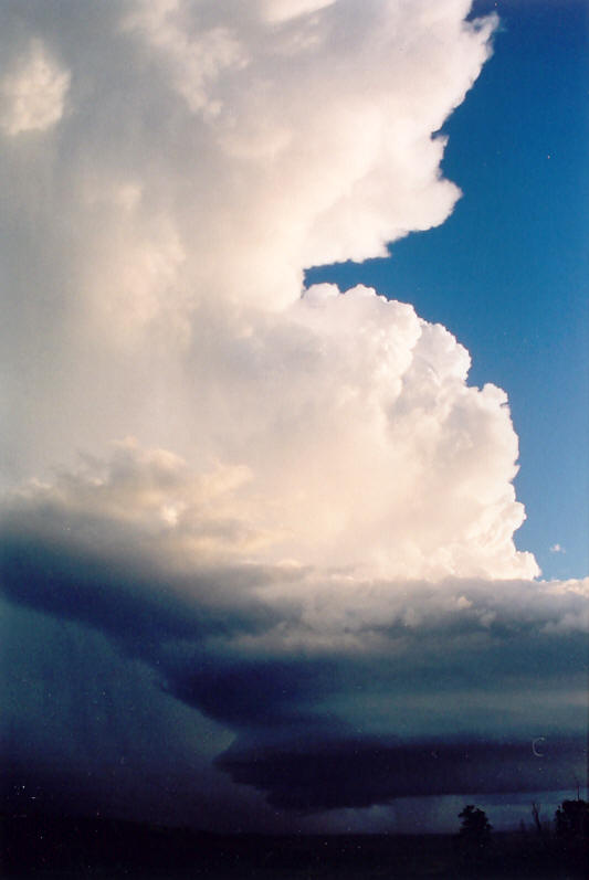 cumulonimbus supercell_thunderstorm : Meerschaum, NSW   20 October 2003