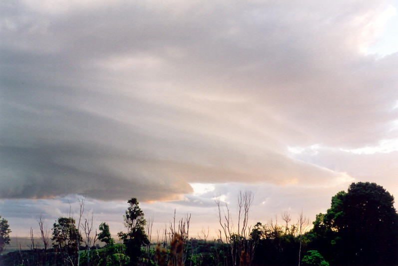 cumulonimbus supercell_thunderstorm : Meerschaum, NSW   20 October 2003