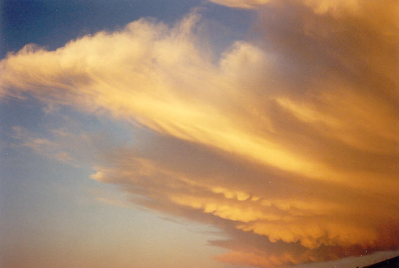 mammatus mammatus_cloud : McLeans Ridges, NSW   20 October 2003