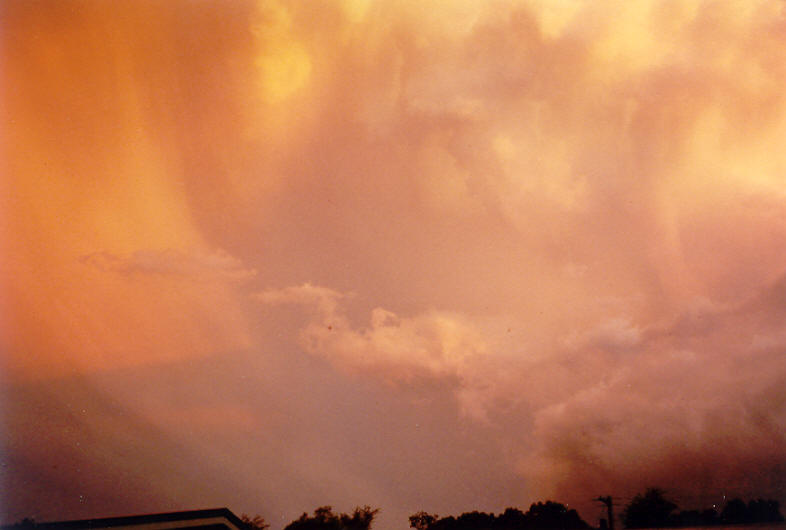 raincascade precipitation_cascade : McLeans Ridges, NSW   20 October 2003