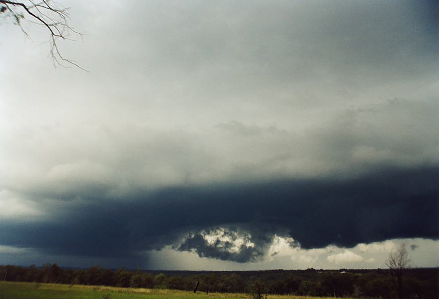 contributions received : Maroota, NSW<BR>Photo by Geoffrey Thurtell   25 October 2003