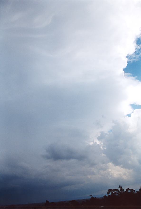 updraft thunderstorm_updrafts : Riverstone, NSW   25 October 2003